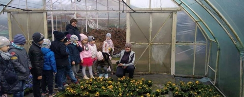 Dzieci z oddziału przedszkolnego przy Szkole im Jana Pawła II w Brusach  odwiedziły Gospodarstwo Ogrodnicze P. Wieckich